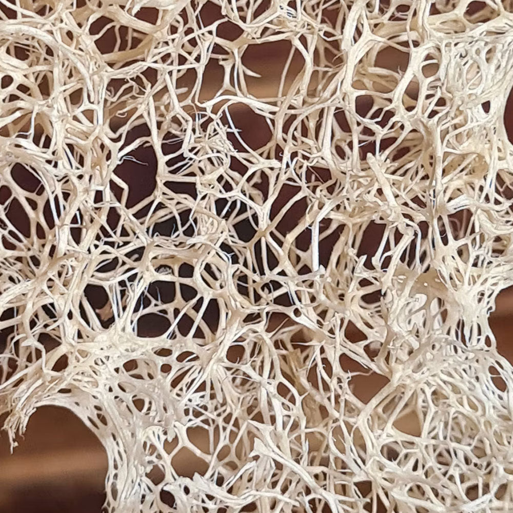 Luffa-Skrubb - Malin i Ratan