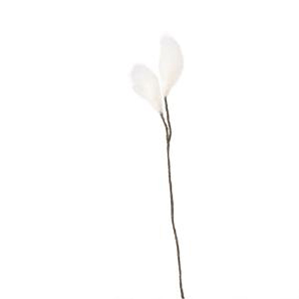 Ängsull - Aveva Design