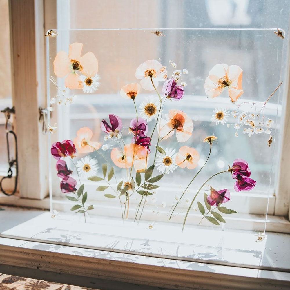 Ängsfälla Fönster