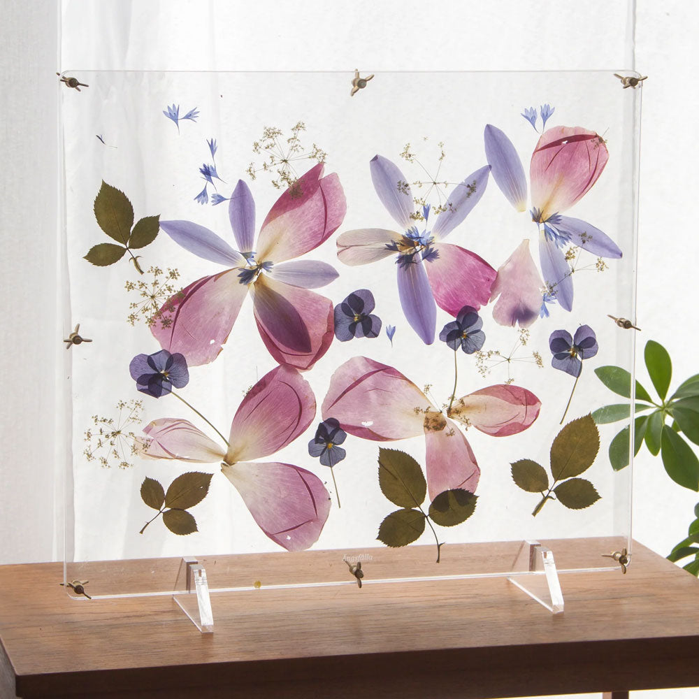 Ängsfälla Fönster